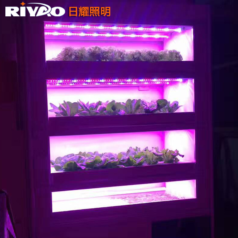 水培植物灯 led叶菜植物生长灯 植物补光灯