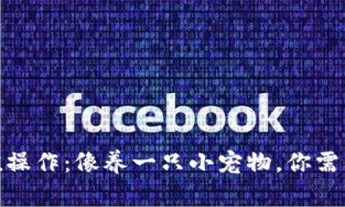 以太坊USDT钱包充值操作：像养一只小宠物，你需要了解它的饮食习惯！