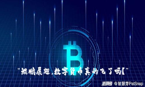 “鲲鹏展翅，数字货币真的飞了吗？”