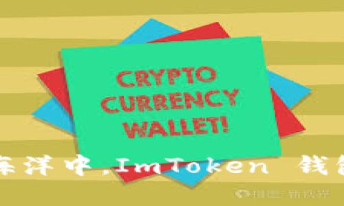 在数字资产的海洋中，ImToken 钱包是您的航海图