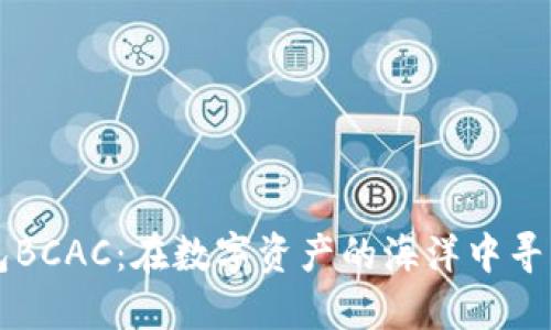 以太坊钱包BCAC：在数字资产的海洋中寻找你的航标