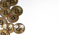 在数字货币世界中畅游，