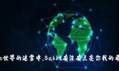 在crypto世界的迷雾中，B