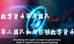 新加坡数字货币华人团队